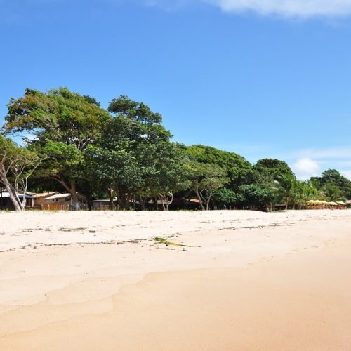Carlos Macapua, macapuna.com.br, (C)